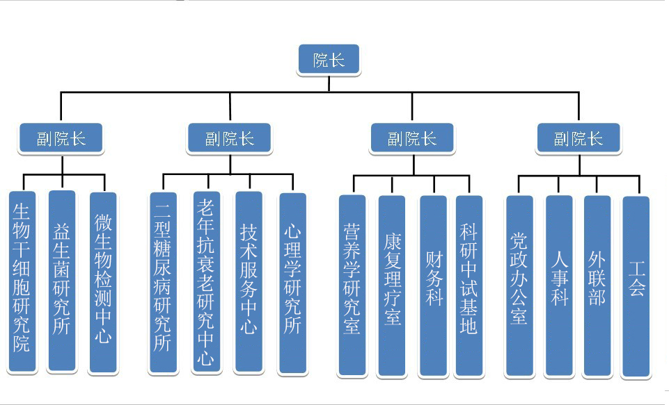 院组织结构图.jpg